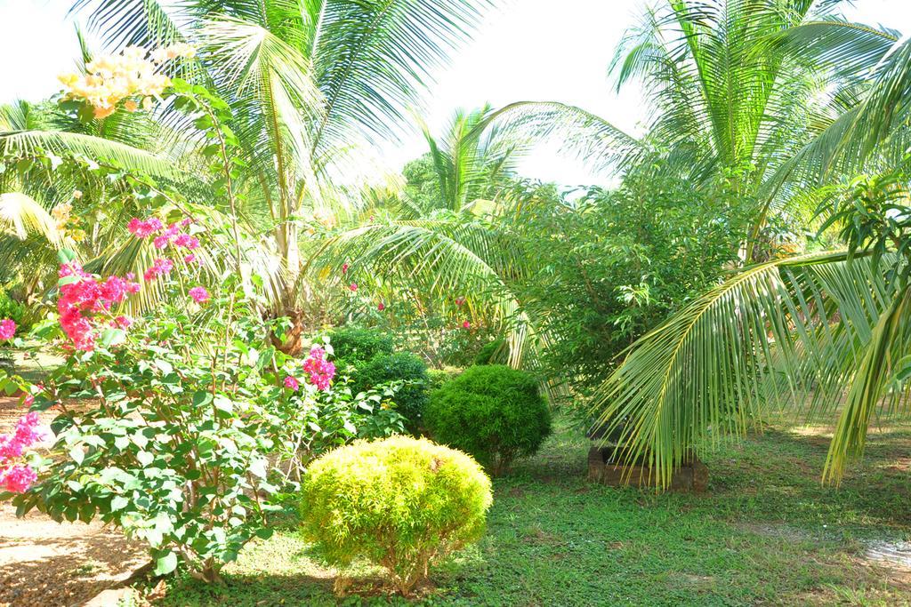 Отель Coconut Garden House Удавалаве Экстерьер фото