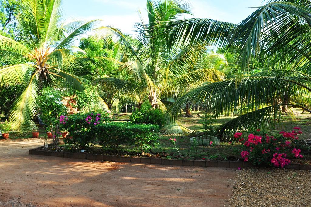 Отель Coconut Garden House Удавалаве Экстерьер фото