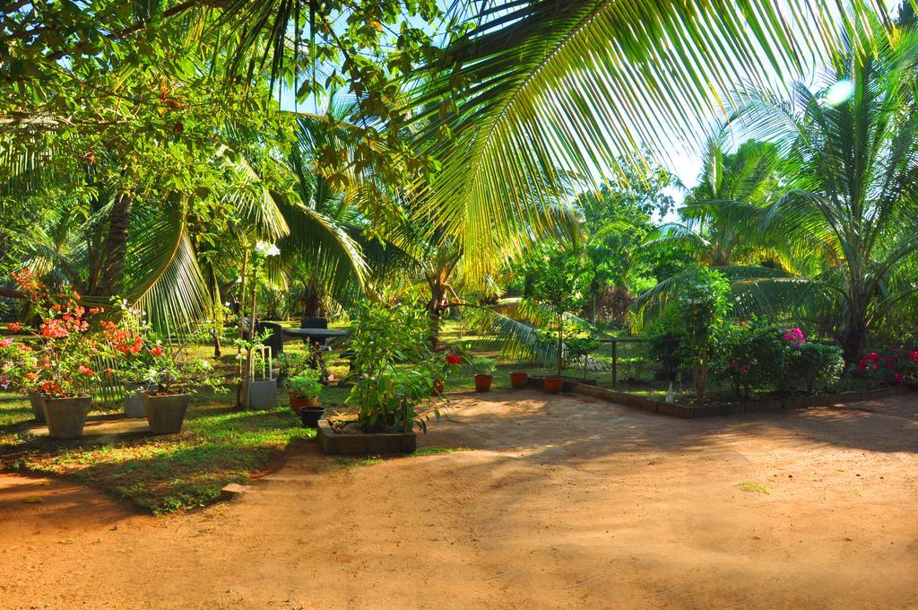 Отель Coconut Garden House Удавалаве Экстерьер фото